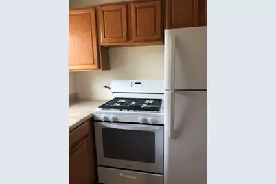 6130 N Seeley Avenue #3S, Chicago, IL 60659 - Photo 14