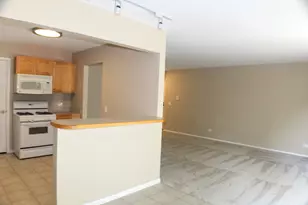 317 Woodbury Ct, Schaumburg, IL 60193 - Photo 4