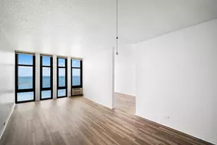 6700 S South Shore Dr, Chicago, IL 60649 - Photo 4