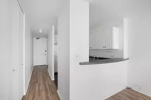 6700 S South Shore Dr, Chicago, IL 60649 - Photo 10