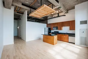 320 E 21st St, Chicago, IL 60616 - Photo 8