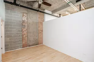 320 E 21st St, Chicago, IL 60616 - Photo 12