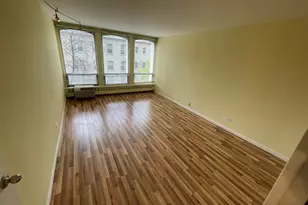 1450 E 55th Pl, Chicago, IL 60637 - Photo 10