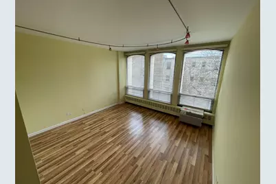 1450 E 55th Place #318S, Chicago, IL 60637 - Photo 8