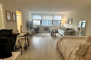 253 E Delaware Pl, Chicago, IL 60611 - Photo 2