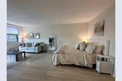 253 E Delaware Place #15E, Chicago, IL 60611 - Photo 4