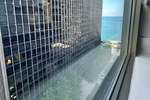 253 E Delaware Pl, Chicago, IL 60611 - Photo 12