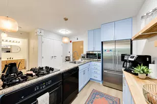 9655 Woods Dr, Skokie, IL 60077 - Photo 16