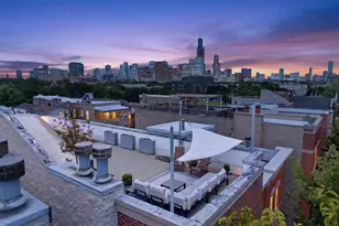 1320 W Grenshaw St, Chicago, IL 60607 - Photo 2