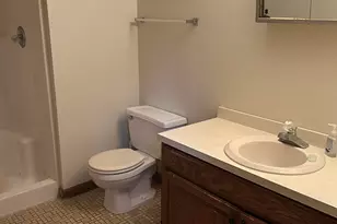 20148 Cypress Ave, Lynwood, IL 60411 - Photo 14