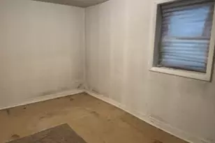 3327 S Lituanica Ave, Chicago, IL 60608 - Photo 30