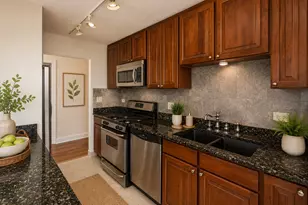 6700 S South Shore Dr, Chicago, IL 60649 - Photo 8