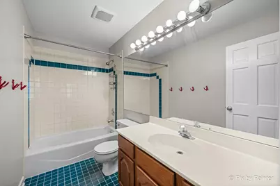 725 Pimlico Parkway, Sleepy Hollow, IL 60118 - Photo 28