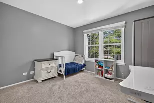 197 Rob Roy Ct, Schaumburg, IL 60194 - Photo 16