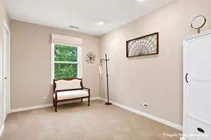 259 Heather Ave, Grayslake, IL 60030 - Photo 20