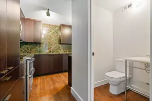 50 E Bellevue Pl, Chicago, IL 60611 - Photo 12