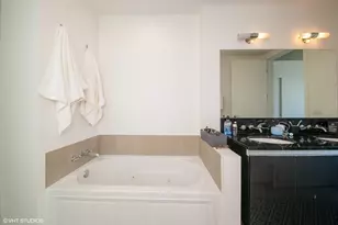 600 N Fairbanks Ct, Chicago, IL 60611 - Photo 6