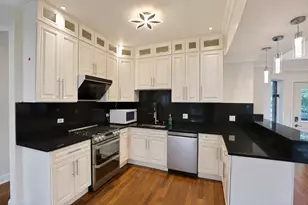 3017 S Canal St, Chicago, IL 60616 - Photo 10
