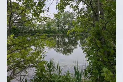 0 Gore Road, Morris, IL 60450 - Photo 6