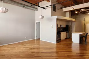 1601 S Indiana Ave, Chicago, IL 60616 - Photo 2