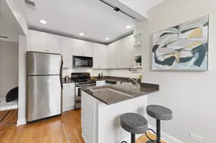 1153 W Grace St, Chicago, IL 60613 - Photo 4