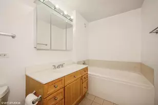 330 W Grand Ave, Chicago, IL 60654 - Photo 10