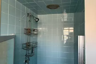 7323 W Higgins Ave, Chicago, IL 60656 - Photo 10