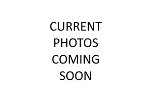 1910 S Indiana Ave, Chicago, IL 60616 - Photo 2