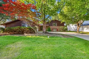 602 E Hackberry Dr, Arlington Heights, IL 60004 - Photo 2