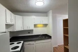5100 N Marine Dr, Chicago, IL 60640 - Photo 22