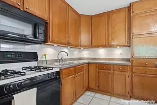 1080 Larkdale Row, Wauconda, IL 60084 - Photo 12
