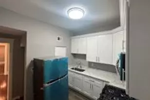 6110 S Ingleside Ave, Chicago, IL 60637 - Photo 12