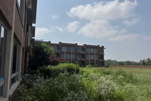 6000 N Cicero Ave, Chicago, IL 60646 - Photo 18