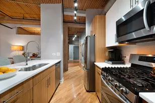 411 W Ontario St, Chicago, IL 60654 - Photo 12