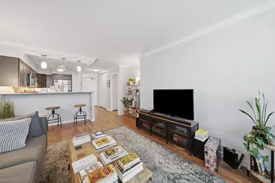 1560 N Sandburg Terrace #509J, Chicago, IL 60610 - Photo 4