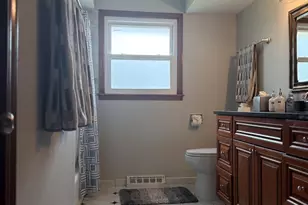 10507 S Terry Dr, Palos Hills, IL 60465 - Photo 16