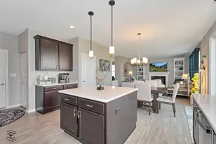 14244 W Marshall Dr, Manhattan, IL 60442 - Photo 24