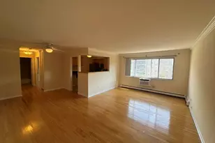 205 W Miner St, Arlington Heights, IL 60005 - Photo 2