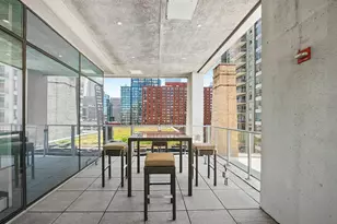303 W Ohio St, Chicago, IL 60654 - Photo 20