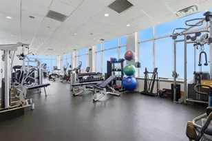 1000 N Lake Shore Plaza, Chicago, IL 60611 - Photo 26