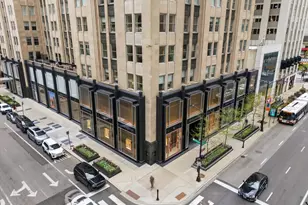1000 N Lake Shore Plaza, Chicago, IL 60611 - Photo 32