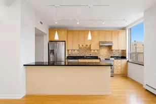 1000 N Lake Shore Plaza, Chicago, IL 60611 - Photo 10