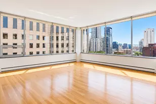 1000 N Lake Shore Plaza, Chicago, IL 60611 - Photo 6