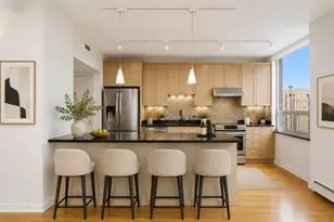 1000 N Lake Shore Plaza, Chicago, IL 60611 - Photo 10