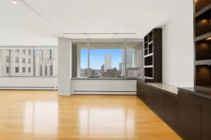 1000 N Lake Shore Plaza, Chicago, IL 60611 - Photo 8