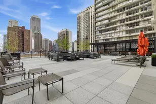 1000 N Lake Shore Plaza, Chicago, IL 60611 - Photo 28