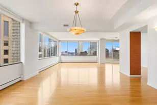 1000 N Lake Shore Plaza, Chicago, IL 60611 - Photo 4