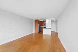 450 W Briar Pl, Chicago, IL 60657 - Photo 4