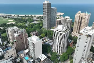 1501 N State Pkwy, Chicago, IL 60610 - Photo 28