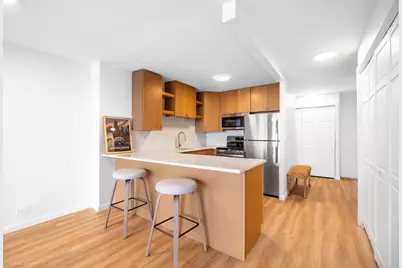 1030 N State Street #11M, Chicago, IL 60610 - Photo 4